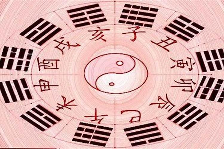 七月蛇男的命运怎么样 运势详解解析
