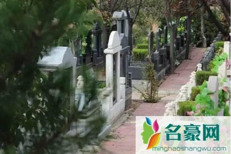 清明节上坟怎样预约