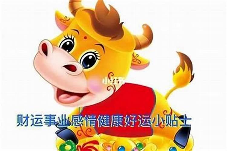 文昌塔9层与13层区别