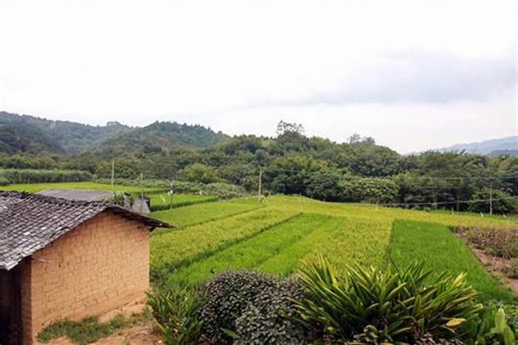 梦见回到农村老家预示什么
