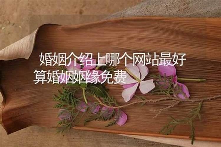 广东省湛江雷州允许清明节扫墓吗？