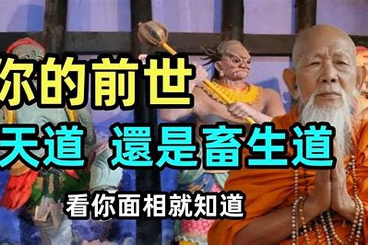 真童子很稀有吗