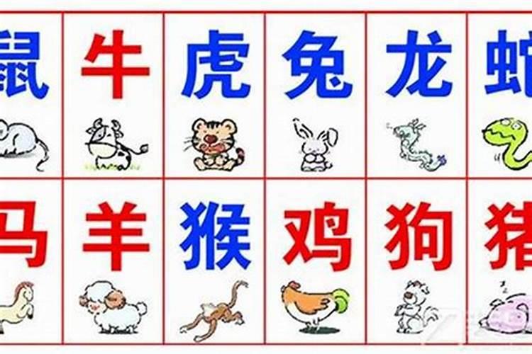 命中有华盖的人不要算命,需要化解吗