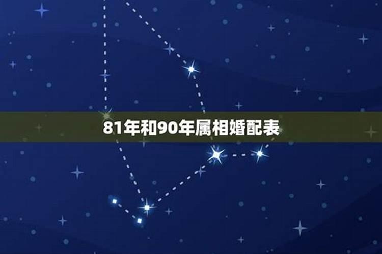 男属马女属鸡合不合90马和93鸡的婚姻如何