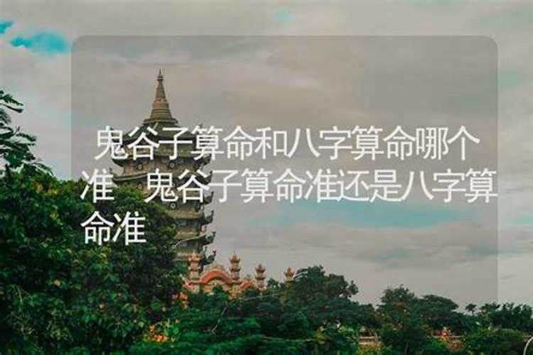 厦门哪里适合露营野餐