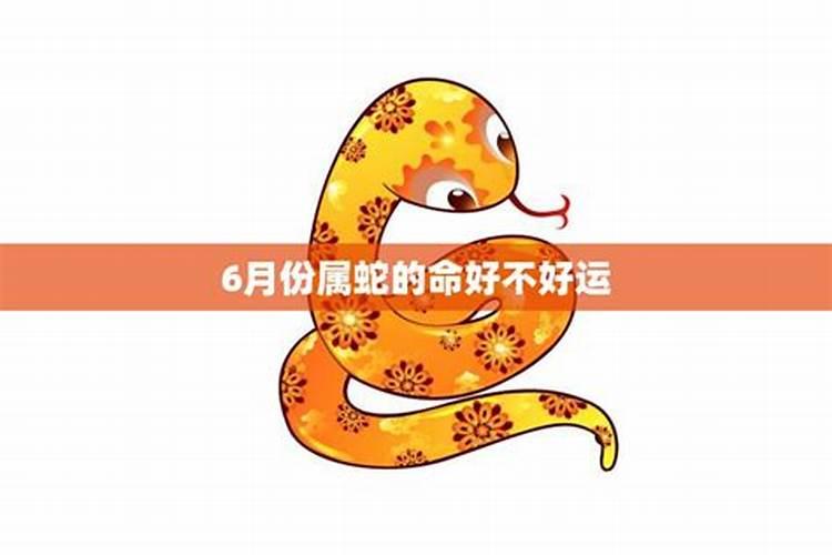 福气之蛇12月出生命运有多好