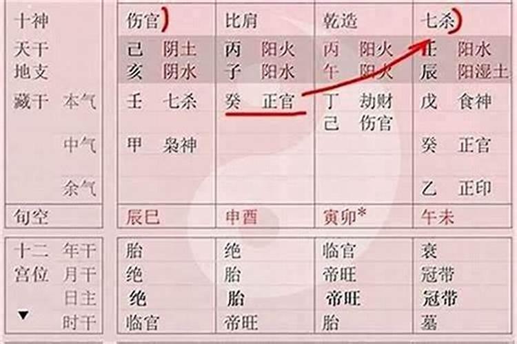 八字伤食是什么意思