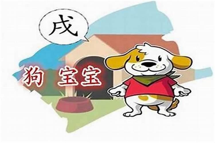 农历11月份出生的属狗人命运
