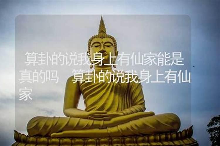 保家仙真的能让家里总出现不好的事吗
