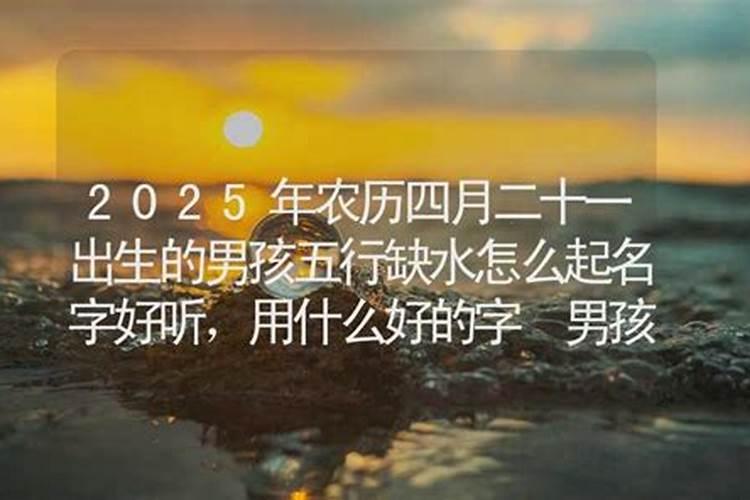 属兔人2025年全年运势及运程