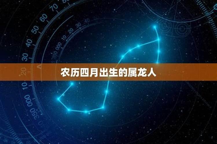生肖兔2025年运势 属兔2025年运势及运程
