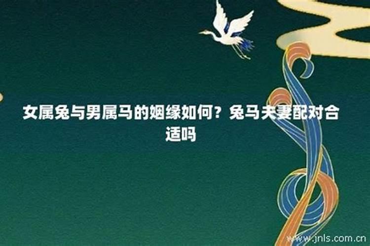 兔男与马女属相婚姻相配