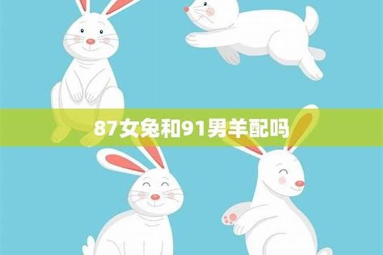 为什么兔男不能找羊女兔男羊女合不合