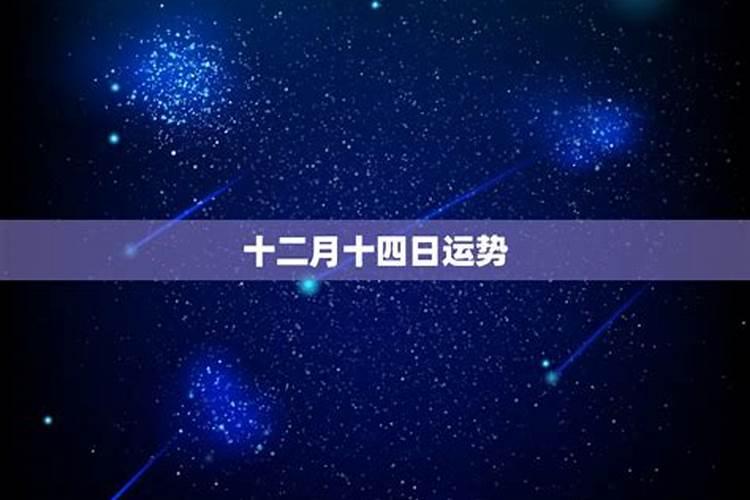2024年9月事业运最好的生肖 鼠马蛇全面开花表现不俗？
