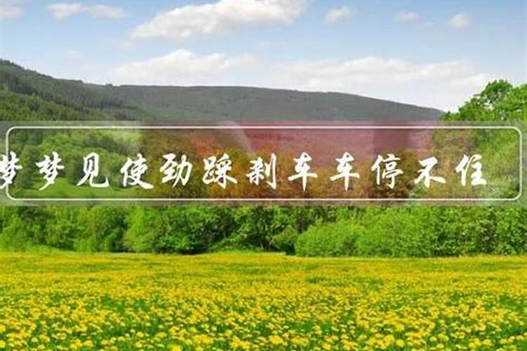 做梦刹车使劲踩刹不住