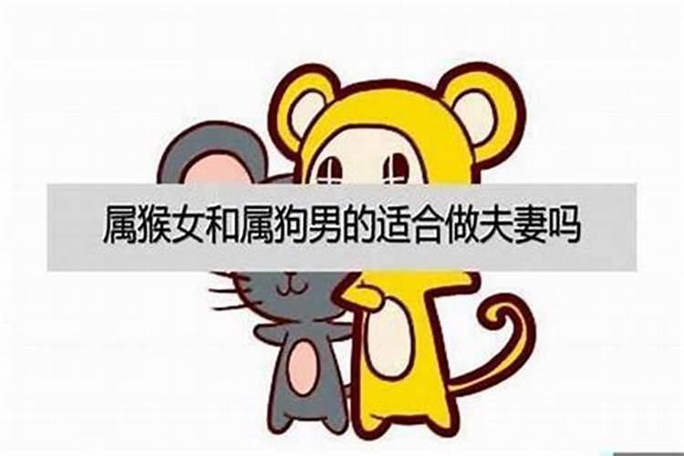 75年属兔何时行大运