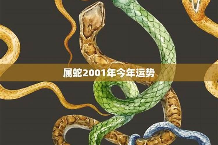 1998年出生属虎的2024年感情婚姻势
