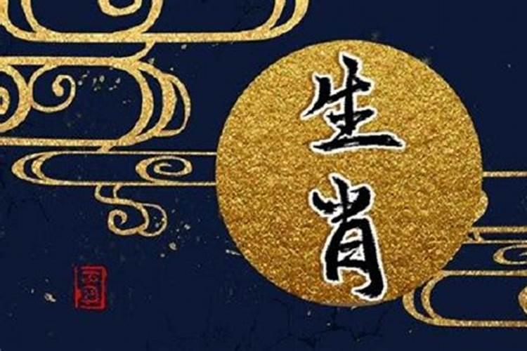 属虎跟属兔的合不合