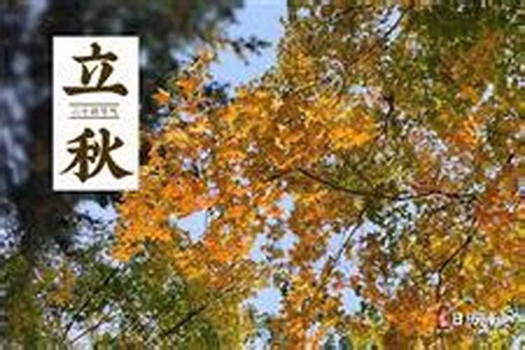 腊月15宜什么忌什么