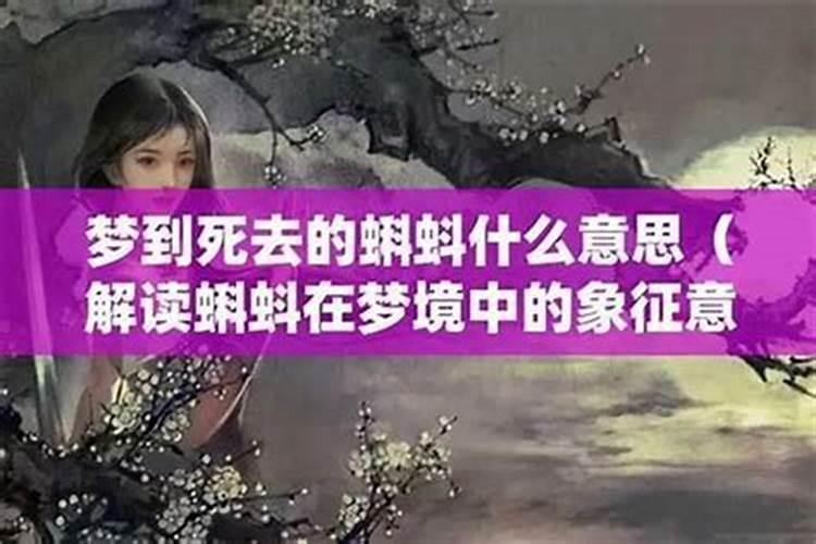 安葬择吉日的正确方法