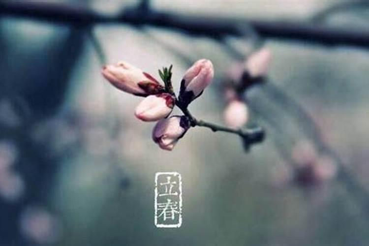 清明时节诗词名句摘抄赏析(燕子来时新社,梨花落后清明)