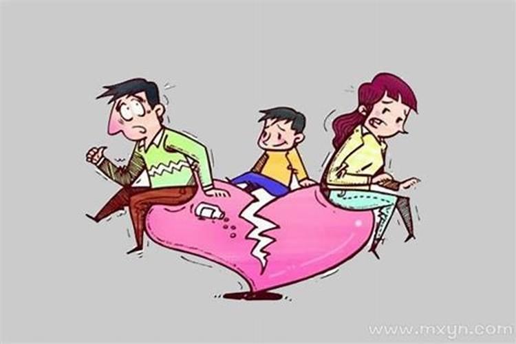 1987年属兔2025年的运势及运程如何