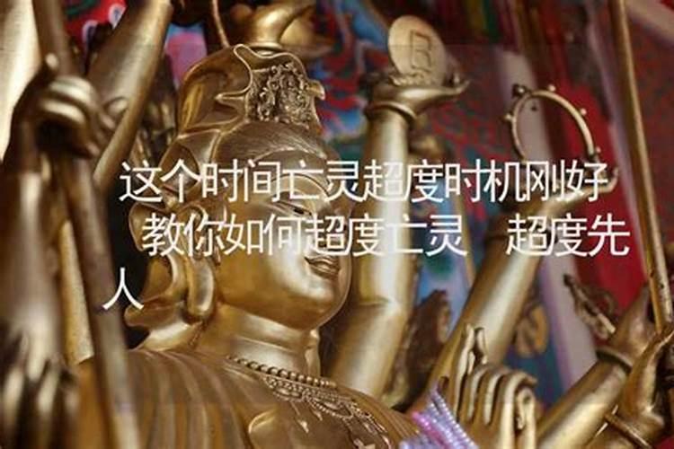 属虎的2025年犯太岁吗