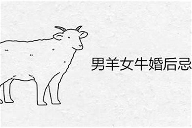 79男羊和91羊女八字合吗,91年属羊女的最佳婚配？