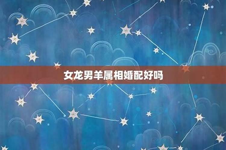 2025属猪人每月运势及运程如何