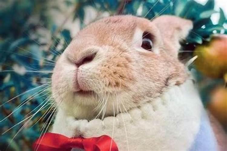如何辨别迎喜神方向