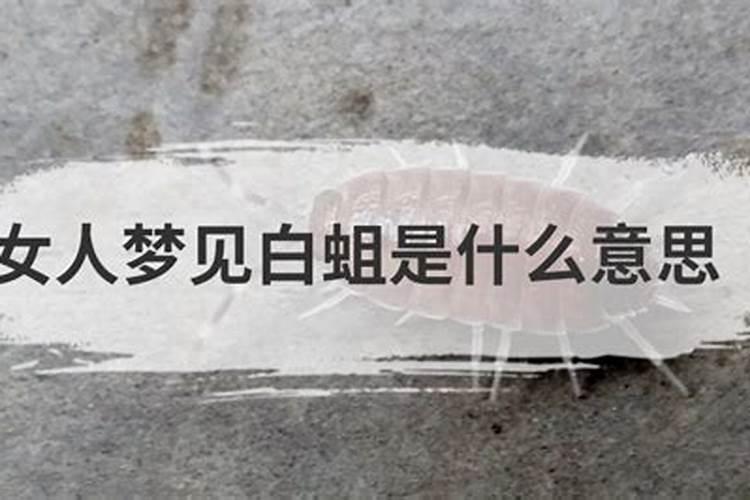 梦见蛆虫 梦见蛆虫是什么意思