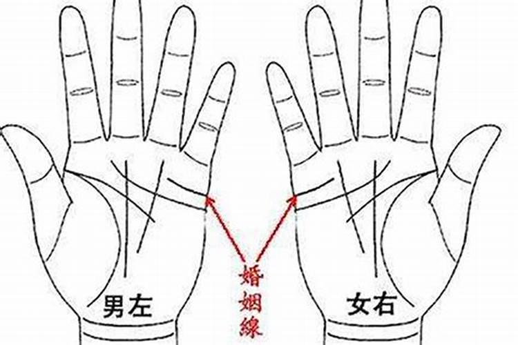 手纹线真的能看出一个人的命吗 手纹看命运到底准不准？