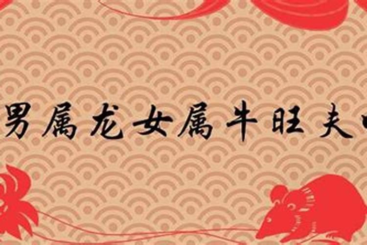 龙年犯太岁的生肖怎么化解
