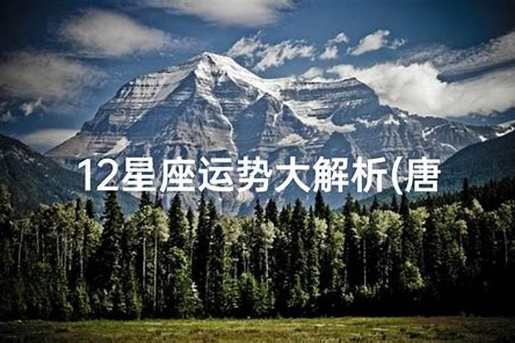 一九八二年,农历正月二十八申时是什么命