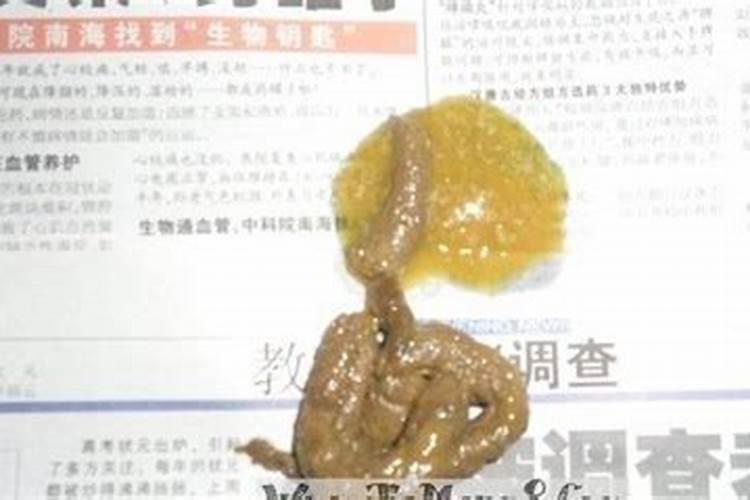 梦见自己拉大便在地上的预兆