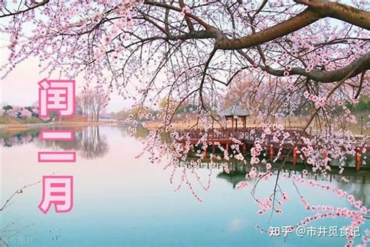八字软硬测算,想测一下自己的八字,以及八字软硬