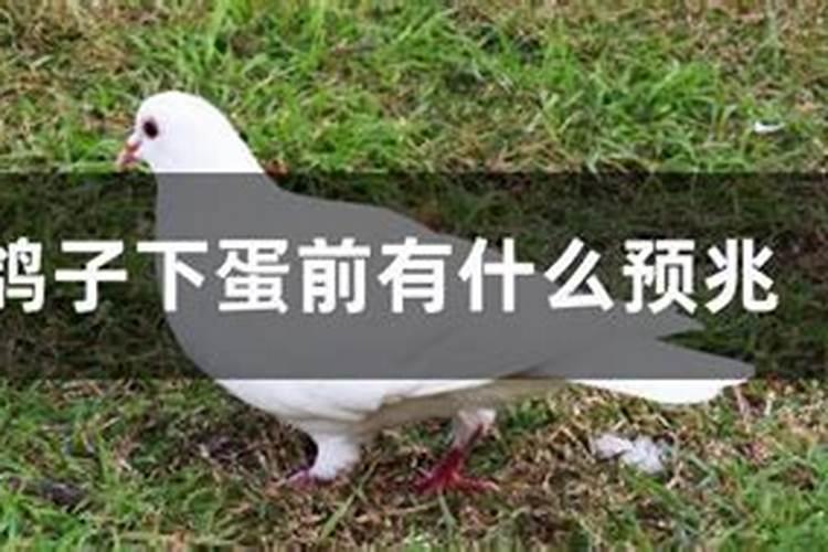 女命八字克夫有轻重之别 要如何化解最好？