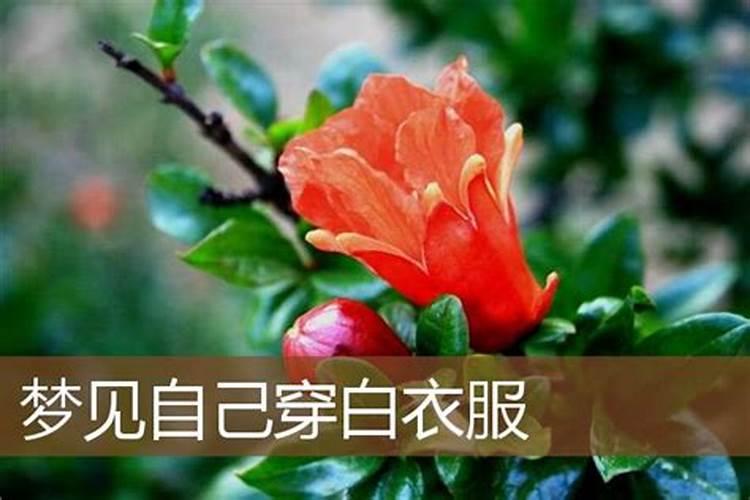 戊辰日五行属什么