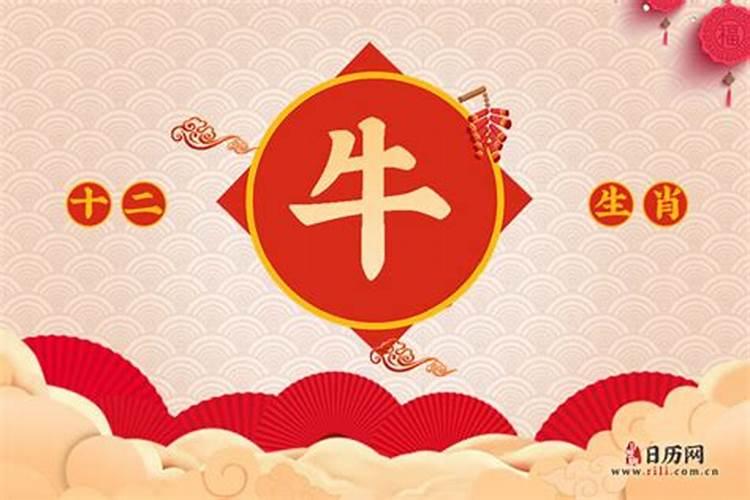 85年属牛的命运