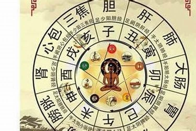 属狗何时走大运属狗的一生运气和命运