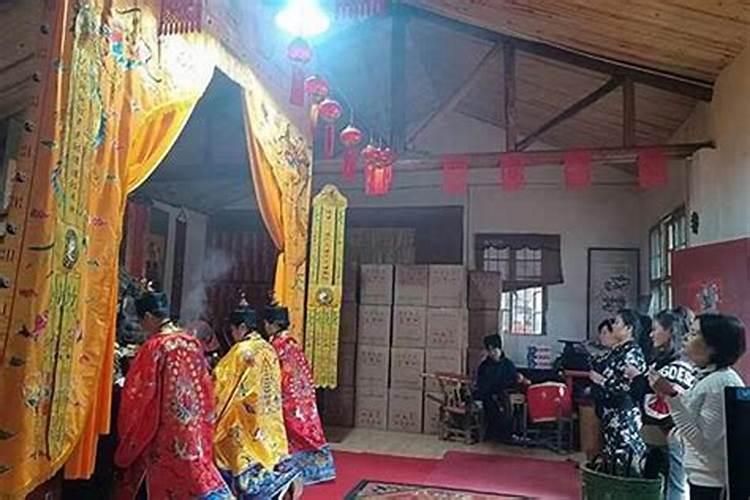 梦见一只漂亮的大公鸡有什么征兆