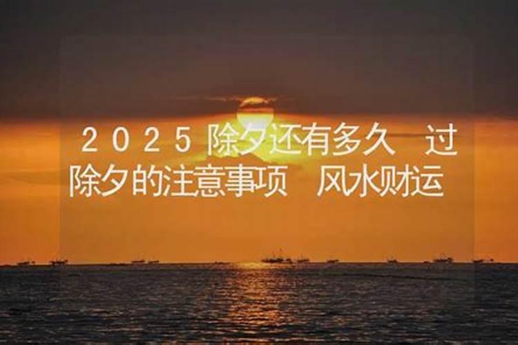 距离2025除夕还有几天