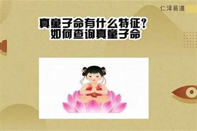 荔浦有高铁站吗,荔浦县周边旅游