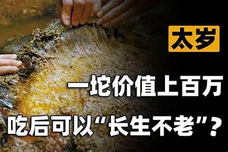 乙木女不要嫁丙火男 性格契合可以婚配