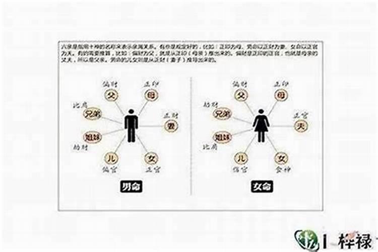 属羊的哪月出生比较好