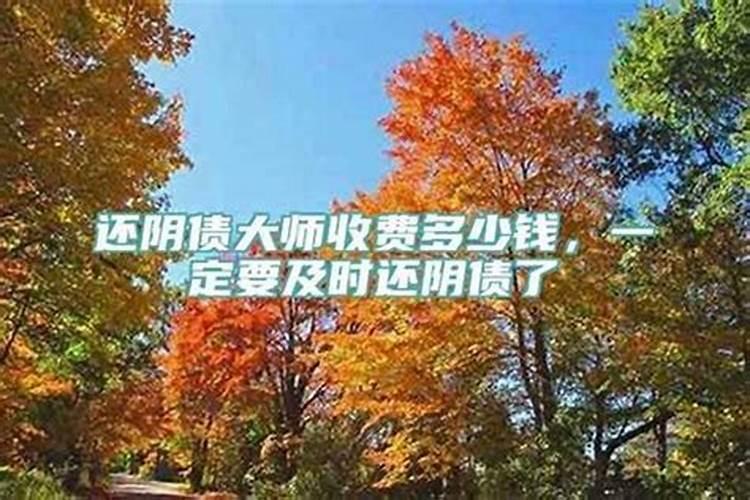 两次无痛人流隔多久可以做