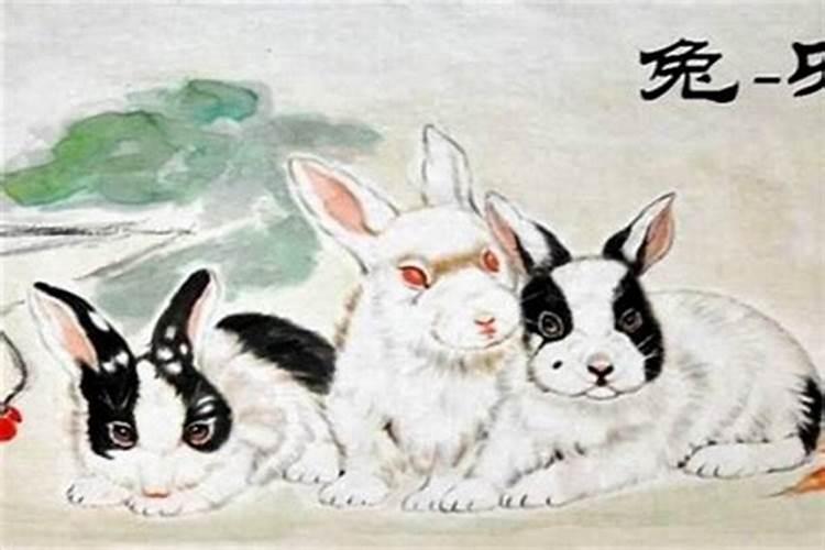 普陀山哪个寺庙同时有和尚和尼姑