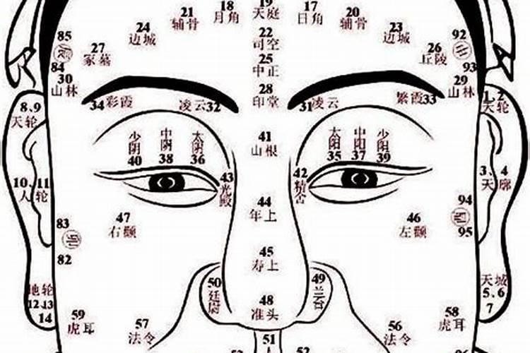 83年属猪41岁后十年大运运程