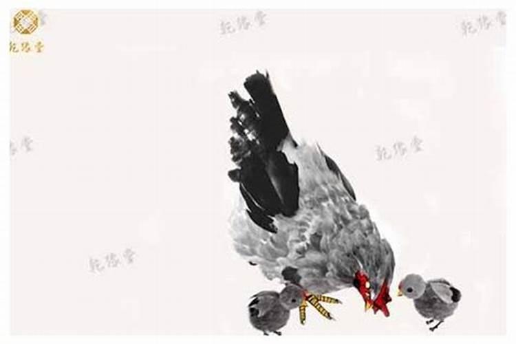2025年有喜孕的生肖