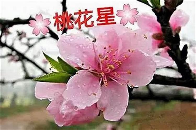 ...比如抄了几十篇后中间有事情,有一天间隔可以吗？